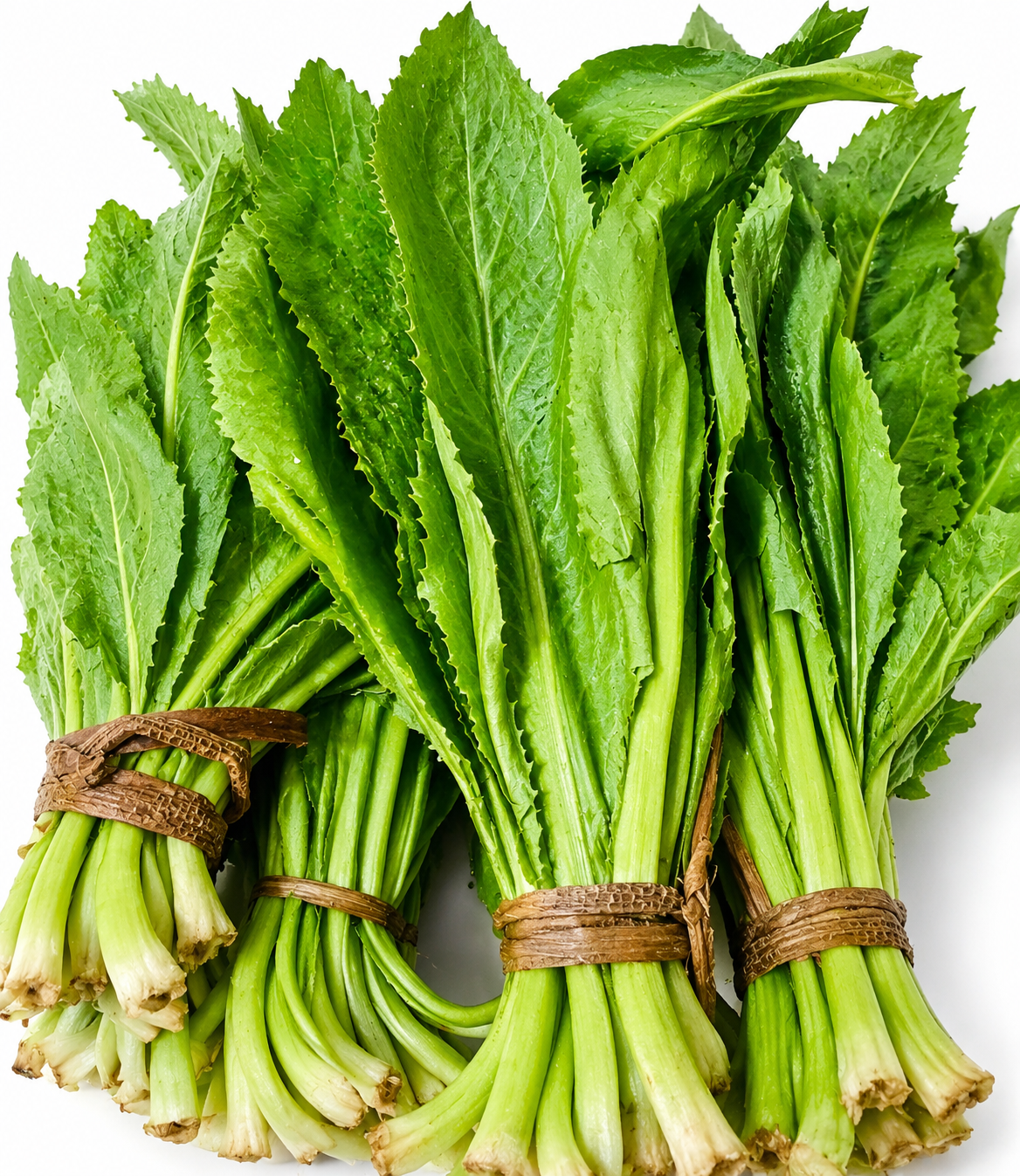 Bileti Dhonei Pata (Bagor Pata)
